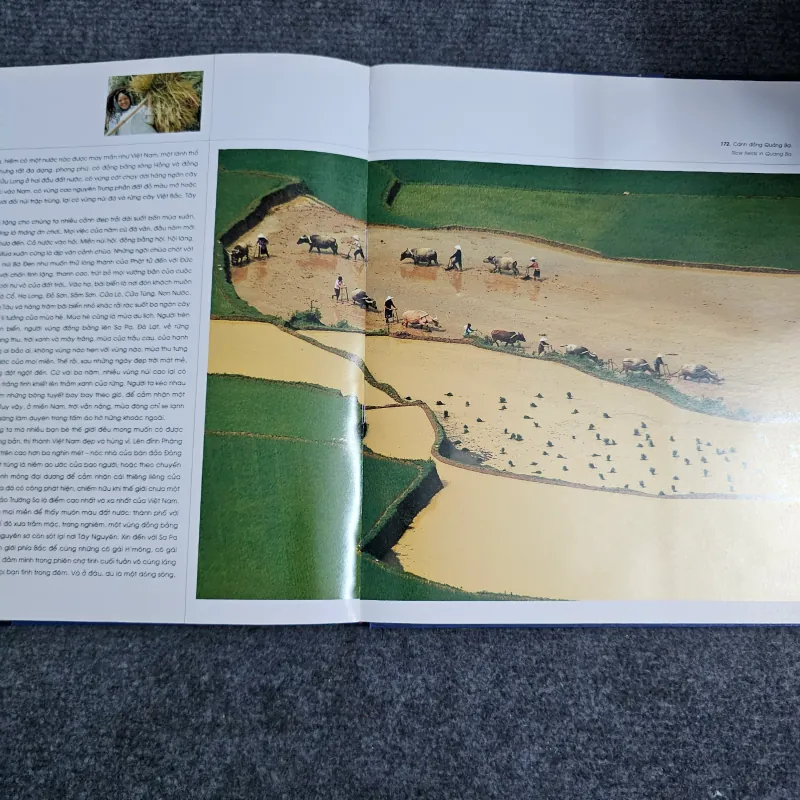 Những bức ảnh đi cùng năm tháng 1029627