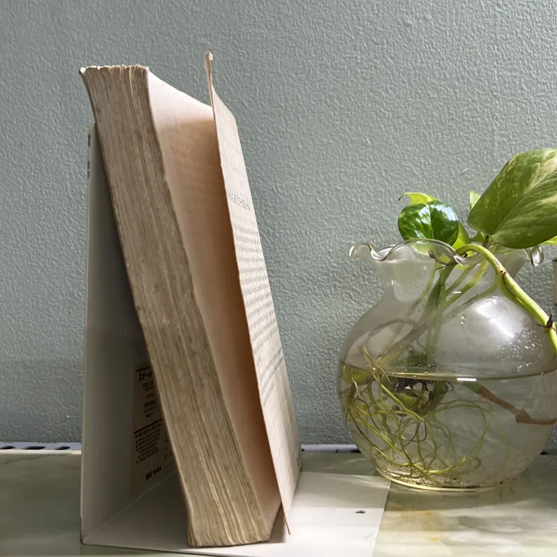 Sống và chết ở thượng hải - tập 1 763063