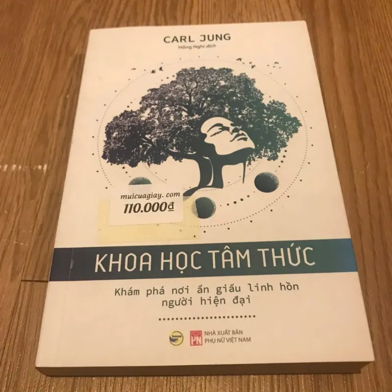 Khoa học tâm thức - Carl Jung 1009399