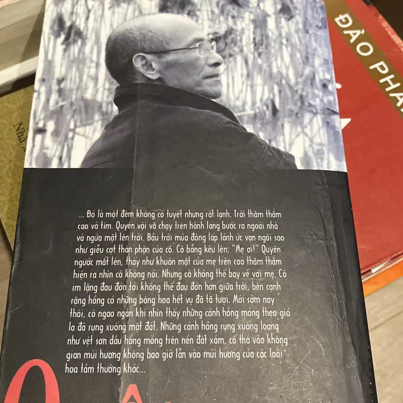 QUYÊN, Giải Nhì tiểu thuyết Hội nhà văn Việt Nam (2006-2009) 699275