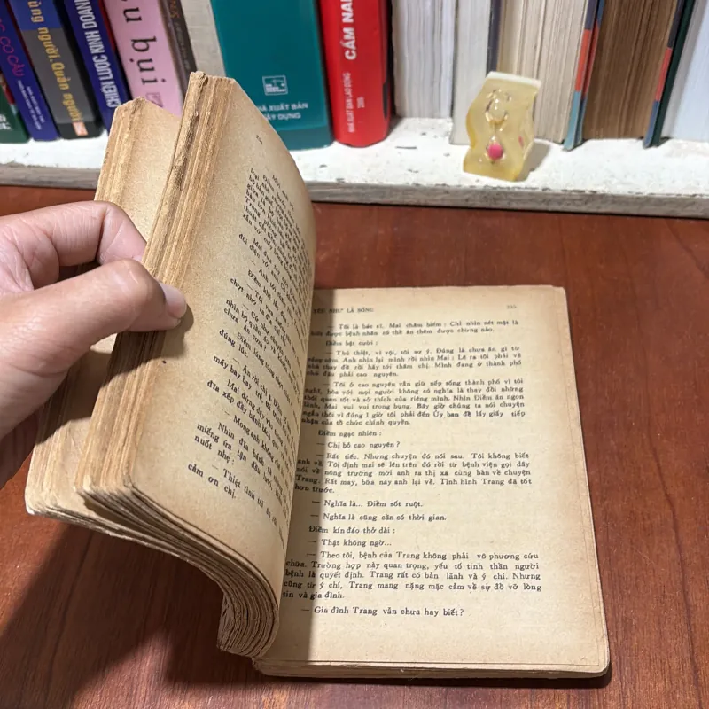 II Tiểu Thuyết: Yêu Như Là Sống - Nguyễn Mạnh Tuấn - 1988 781596