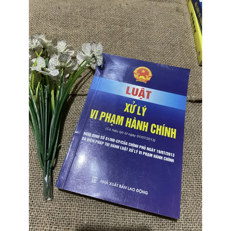 Luật xử lý vi phạm hành chính - 380 trang  797700