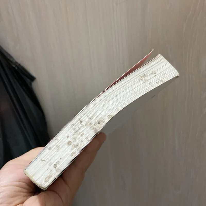 Ngang qua thế giới của em -  Trương Giai Giai 970294