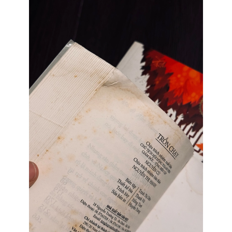 Combo trốn chạy + Alice cuộc đời yêu dấu 519488