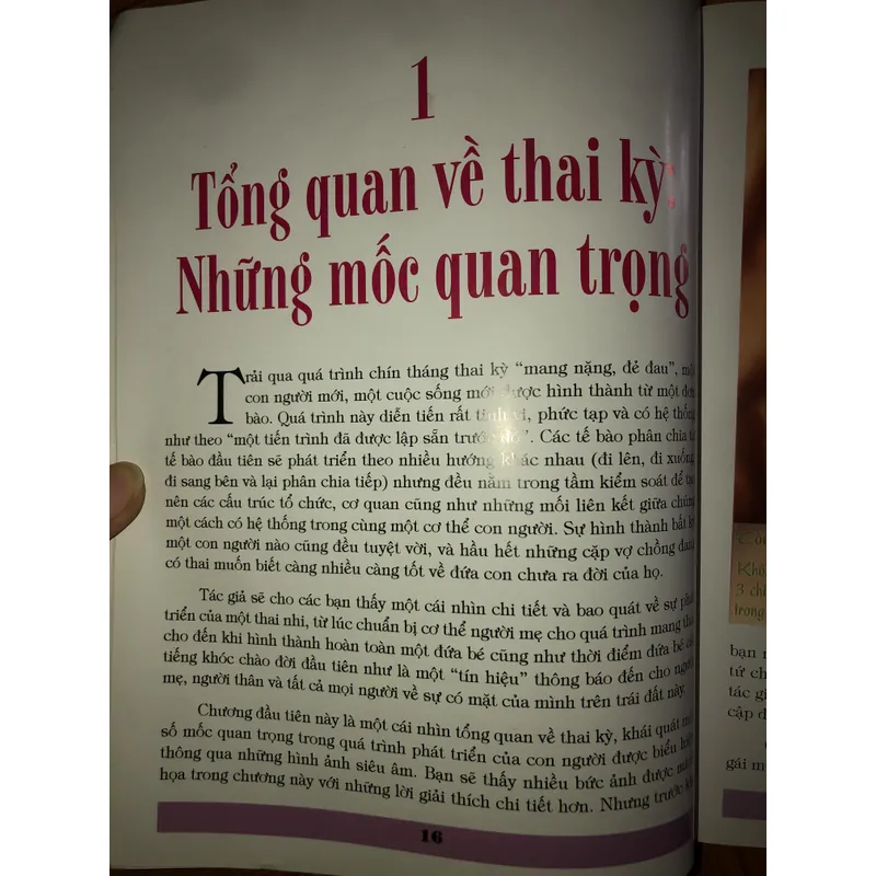 Cuộc hành trình 9 tháng kỳ diệu trong bụng mẹ  674618