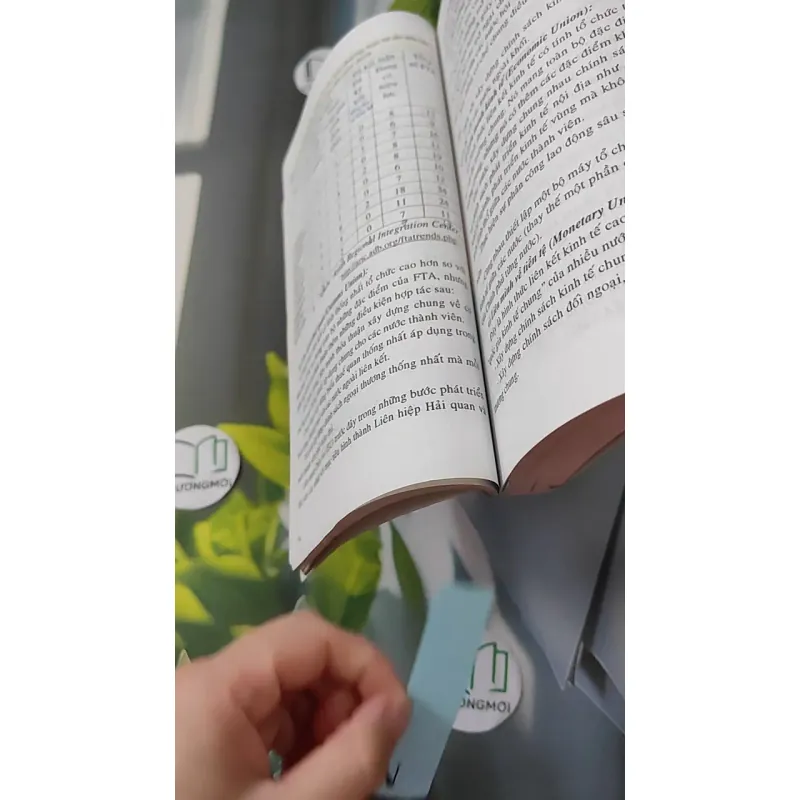 Quan hệ kinh tế quốc tế - GS. TS. Võ Thanh Thu 1018830