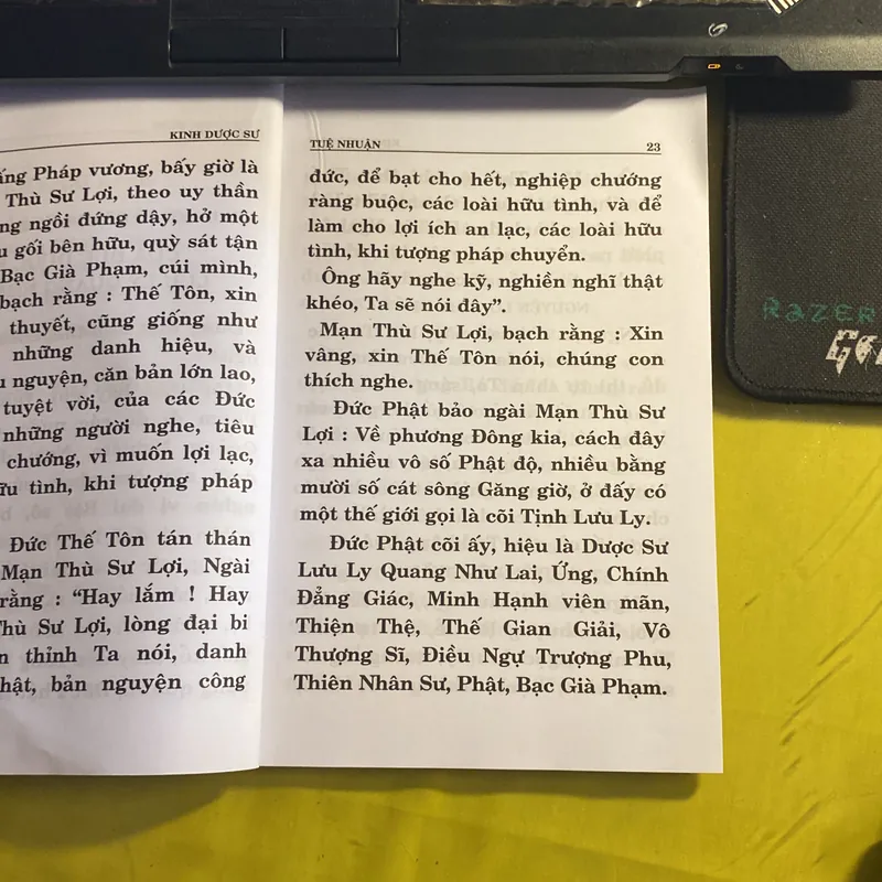 Kinh Dược Sư- Dịch Giả: Bồ Tát Giới Tuệ Nhuận 688421