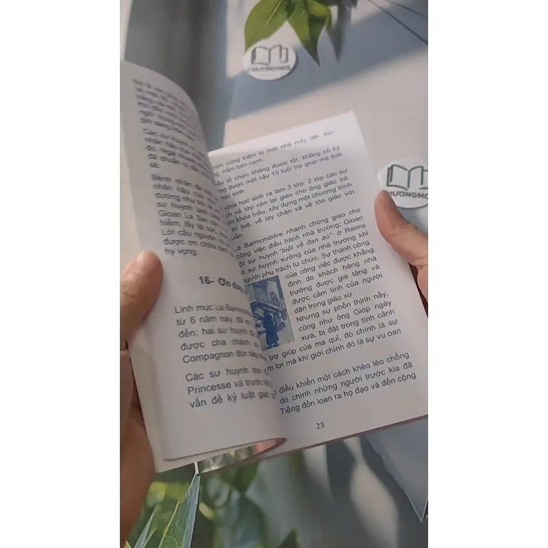 Những Đóa Hoa La San - Nhật Nhật Tân 928514