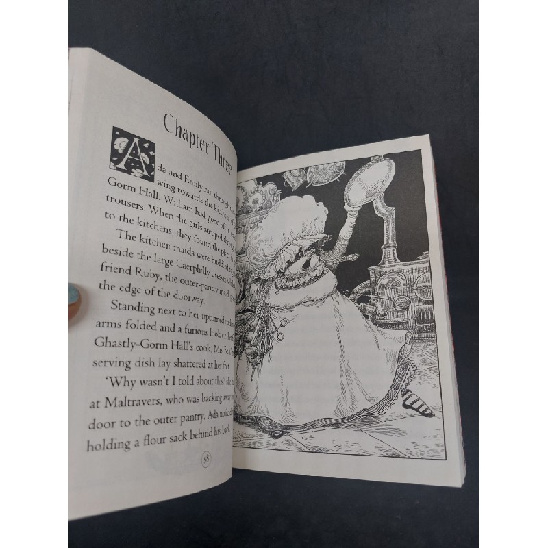 Goth Girl and the Fete Worse than death mới 80% Chris Riddell 2017 HCM2806 Oreka-Blogmeo 35418