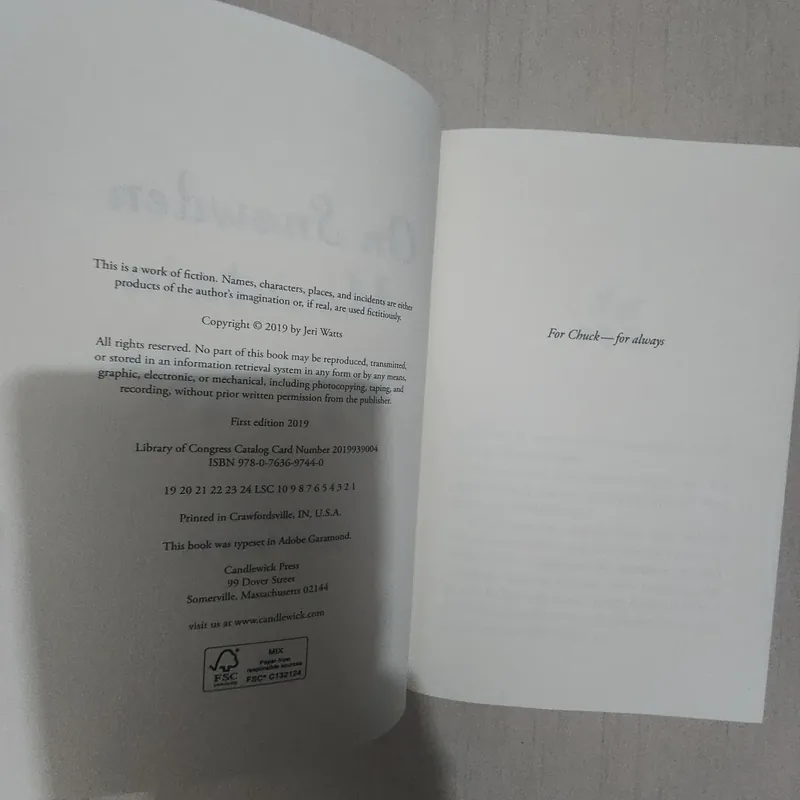 Sách On Snowden Mountain của Jeri Watts mới 90% 714693