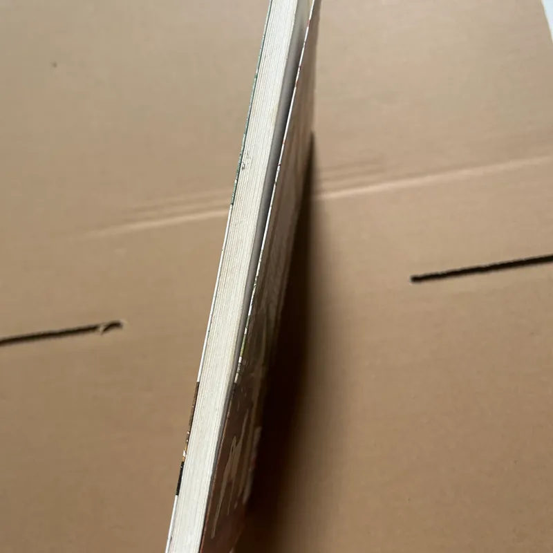 Hachiko chú chó đợi chờ 603099