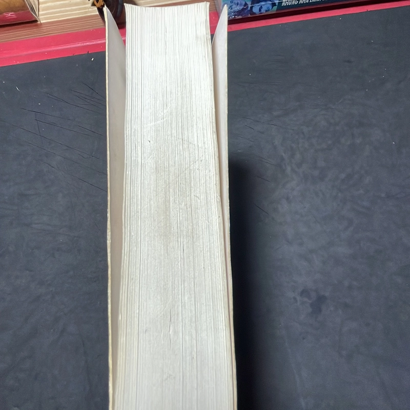 Một mảnh trò đời Steve Toltz 302993
