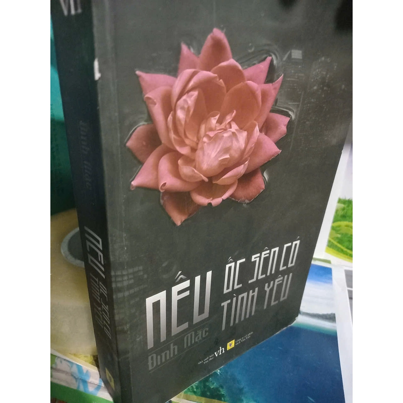 nếu ốc sên có tình yêu 466385