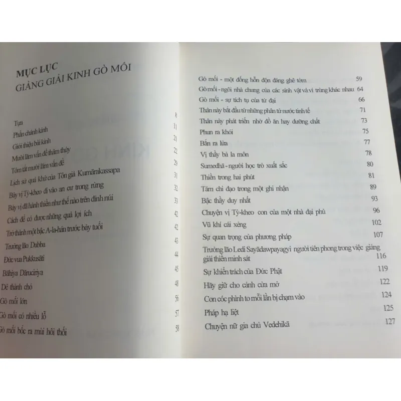 Sách Giảng giải Kinh Gò Mối của Mahási Sayādaw - Bản tiếng Việt 675207