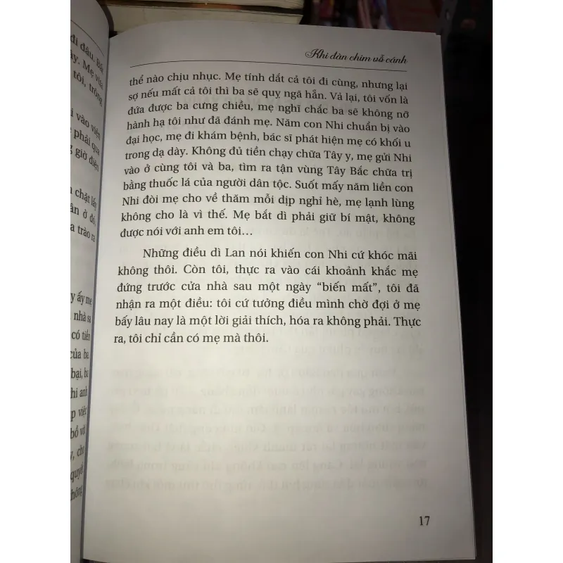 Khi đàn chim vỗ cánh  1011355