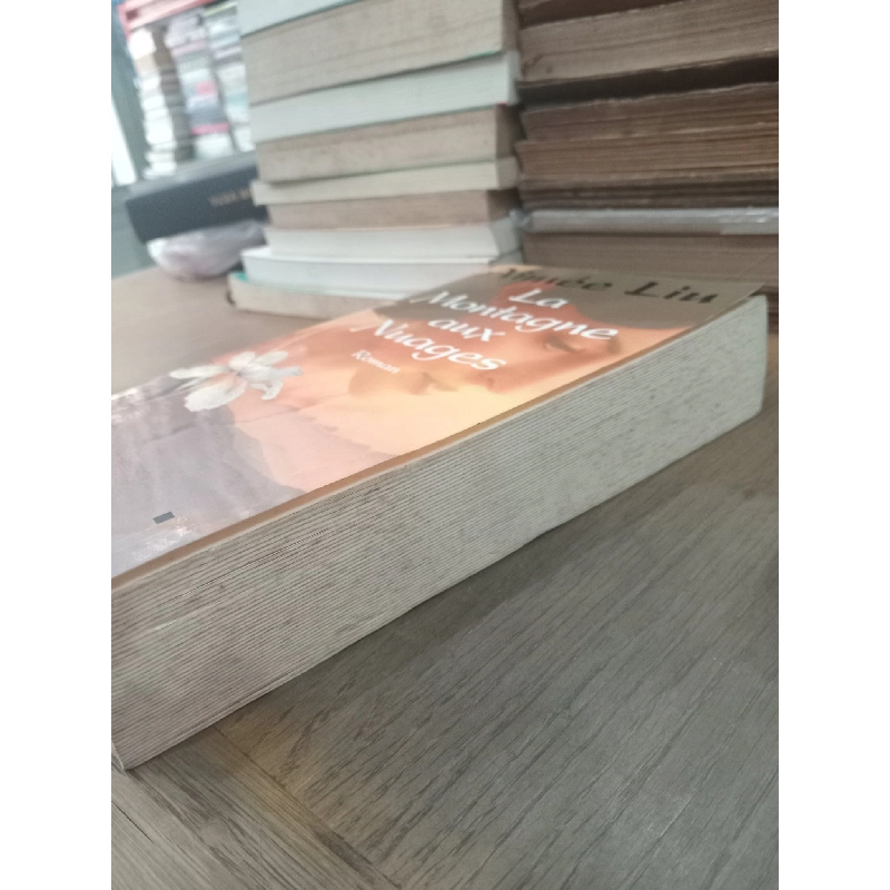 La montagne aux nuages - Aimée Liu 970776