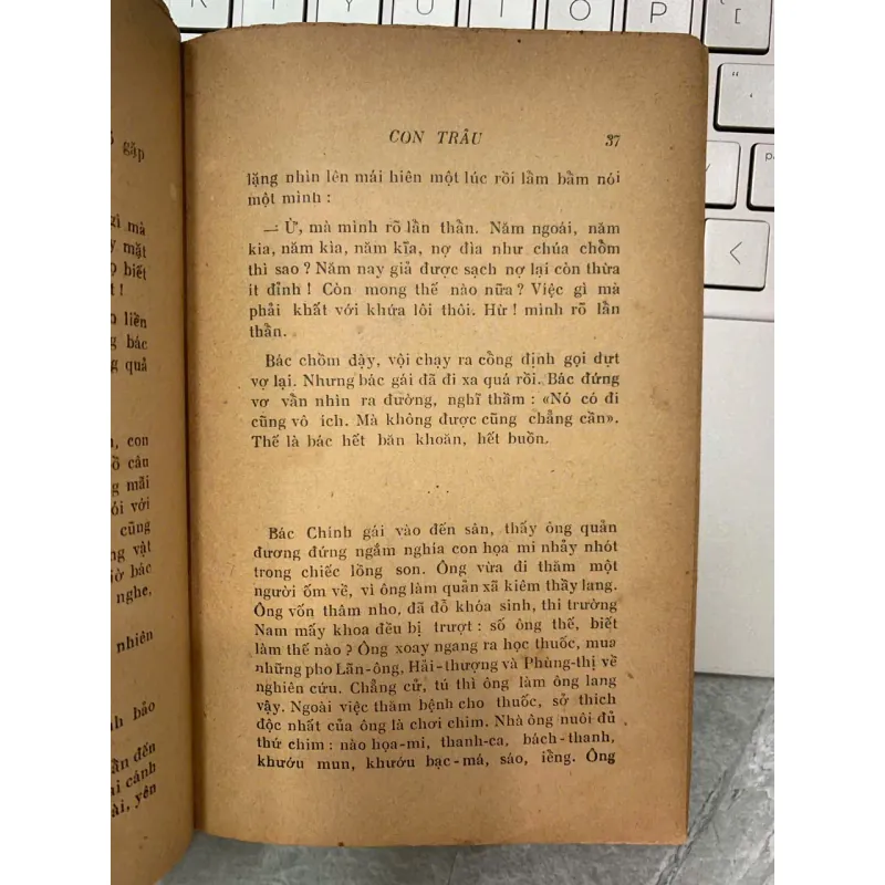 CON TRÂU - TRẦN TIÊU 704969