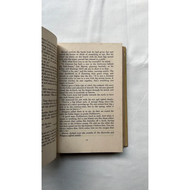 The Life of Matvei Kozhemyakin - M. Gorky 789421