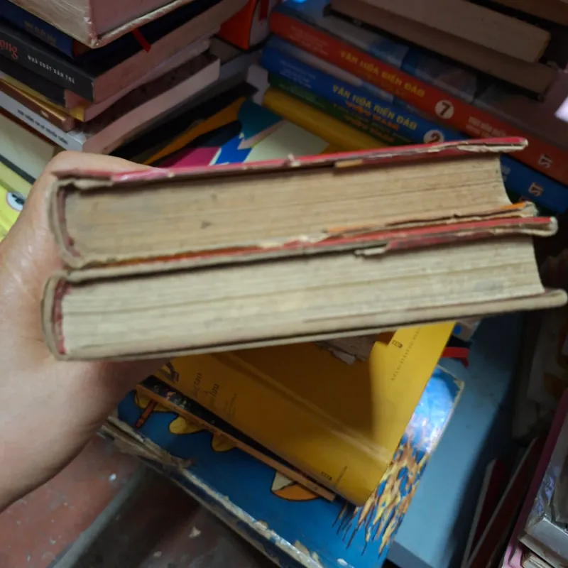 Đât vỡ hoang 1009341