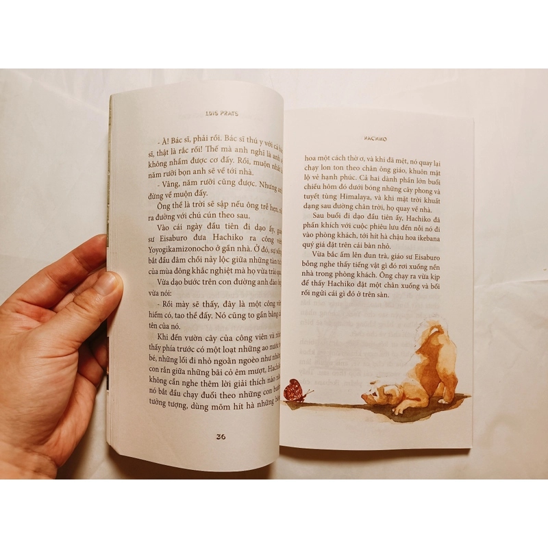 Hachiko _ Chú Chó Đợi Chờ 544883