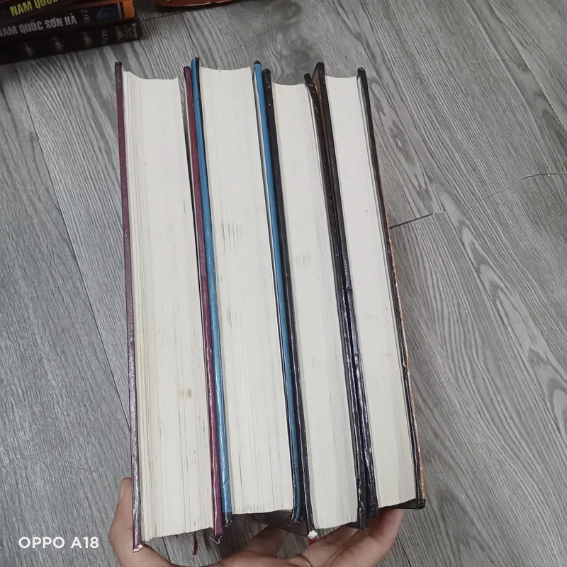 Trọn Bộ Ảnh Hùng Tiêu Sơn 4 Tập - Yên Tử Cư Sĩ Trần Đại Sỹ 562151