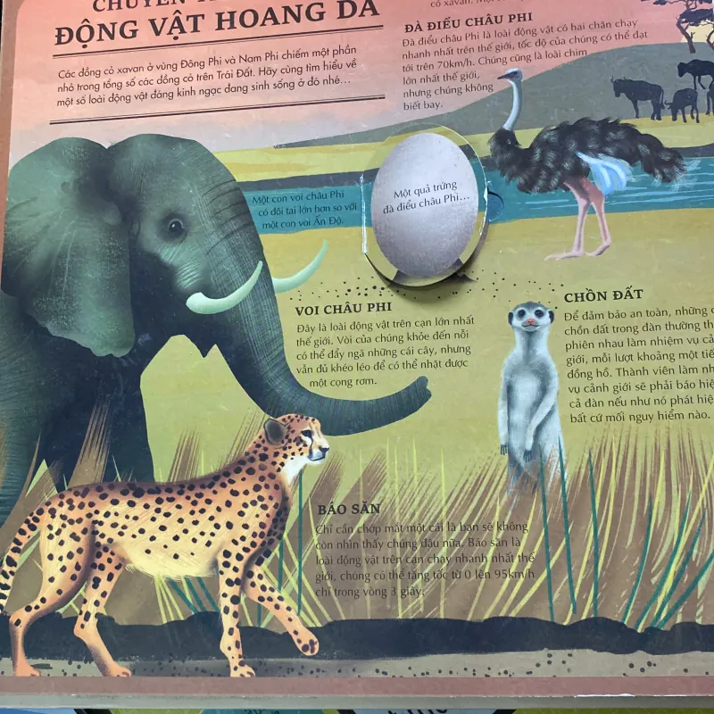 Atlas da tương tác  về động vật hoang dã 766035