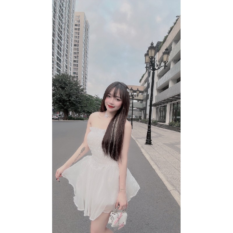 Váy tiểu thư vải đẹp 13679
