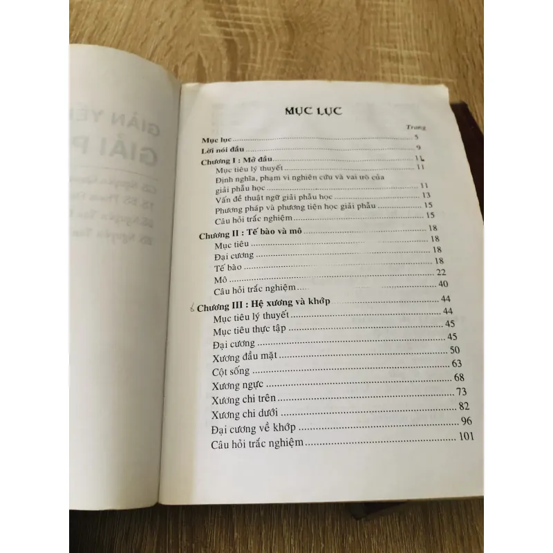 GIẢI PHẪU NGƯỜI - GIẢI PHẪU NGỰC BỤNG 989633