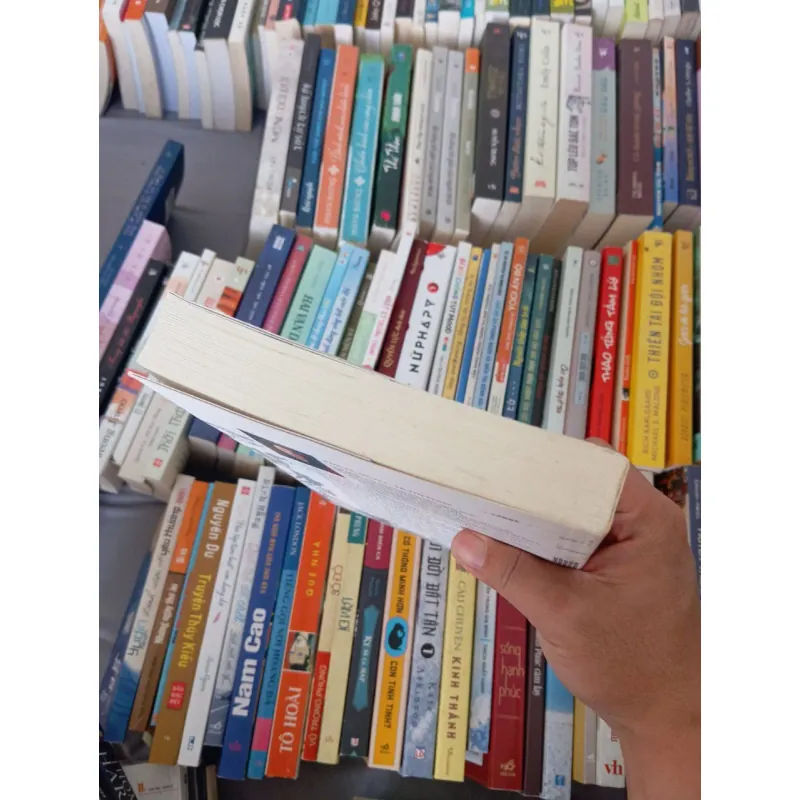 Đồn điền người Pháp ở Bắc Kỳ từ 1884 đến 1918 _ Tạ Thị Thúy 973521