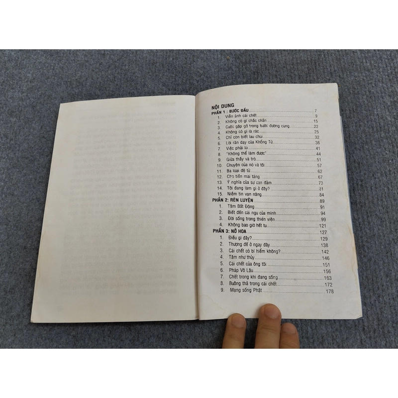 TỪ NỤ ĐẾN HOA 485148