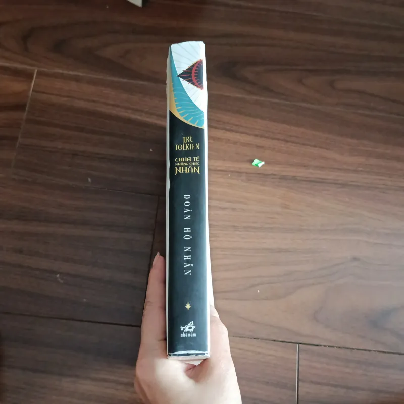 Chúa tể những chiếc nhẫn - đoàn hộ nhẫn 934835