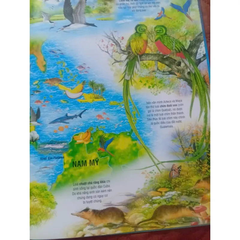 Atlas Môi Trường Sống Của Các Loài Động Vật 1009866