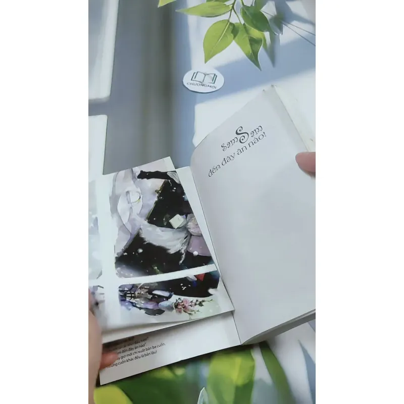 Sam Sam Đến Đây Ăn Nào - Cố Mạn 744699