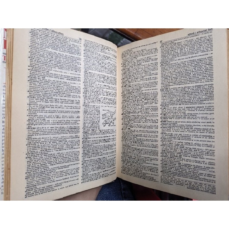 WESTER'S NEW WORLD DICTIONARY 161445