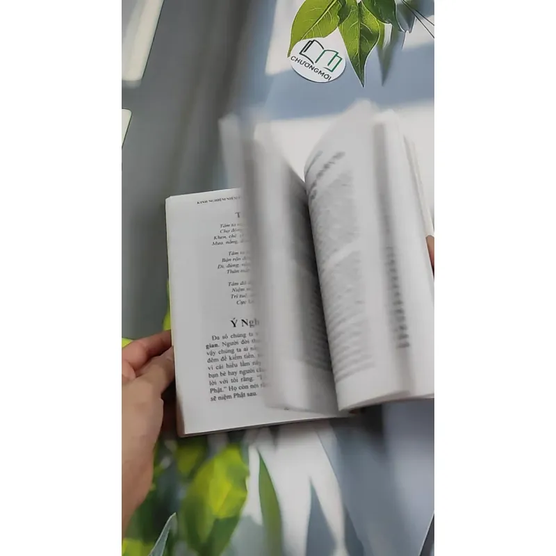 Kinh Nghiệm Niệm Phật Và Những Chuyện Luân Hồi - Cư Sĩ Diệu Âm - Diệu Ngộ 776139