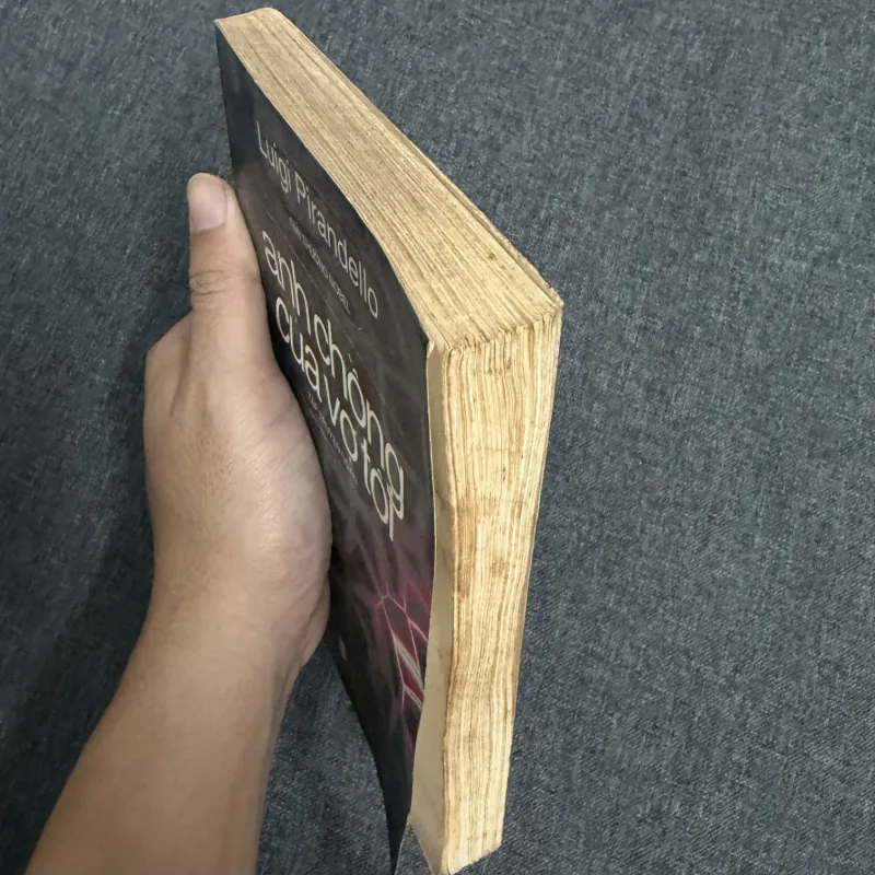 Anh chồng của vợ tôi 755518