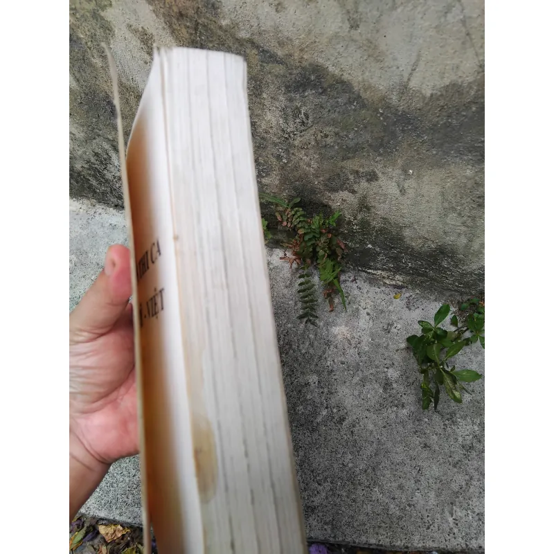 Từ điển thi ca Anh - Mỹ - Việt  1030155