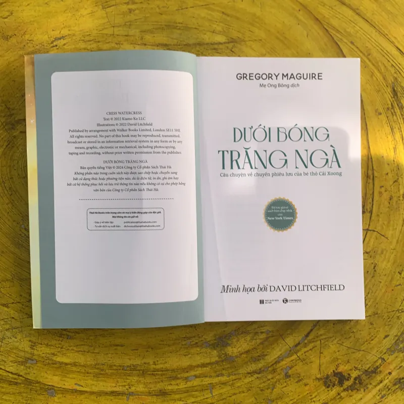 DƯỚI BÓNG TRĂNG NGÀ - GREGORY MAGUIRE 1022345