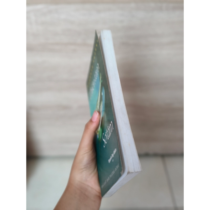 Thiền tâm 🌱 479749