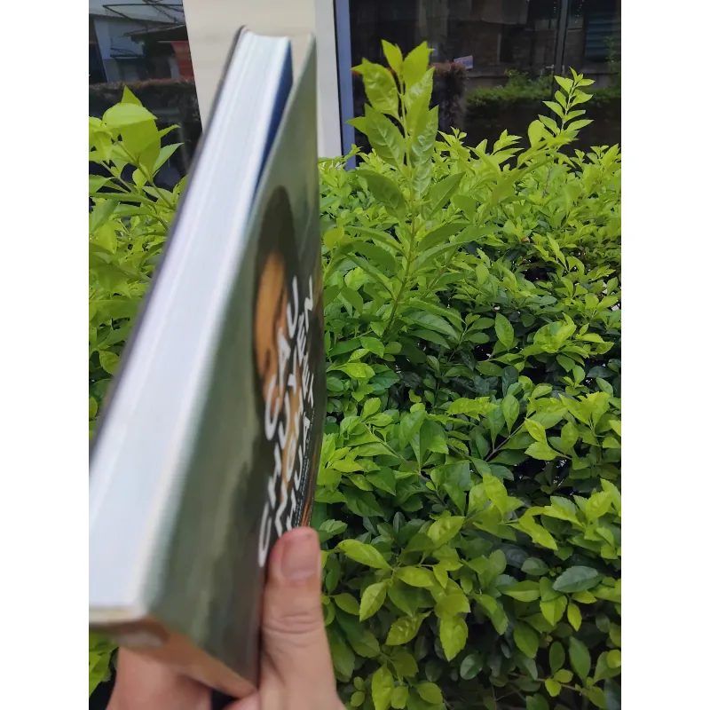 Câu chuyện nghệ thuật - The short story of art 972246