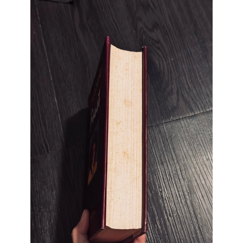 Faust (Bìa cứng, bản Đông Tây ít gặp) 475060