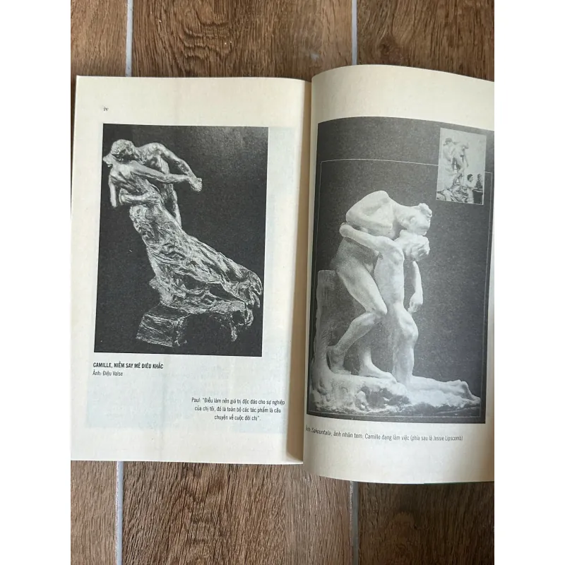 Camille và Paul - Niềm đam mê mang tên Claudel - Dominique Bona (NXB Tri Thức 750277