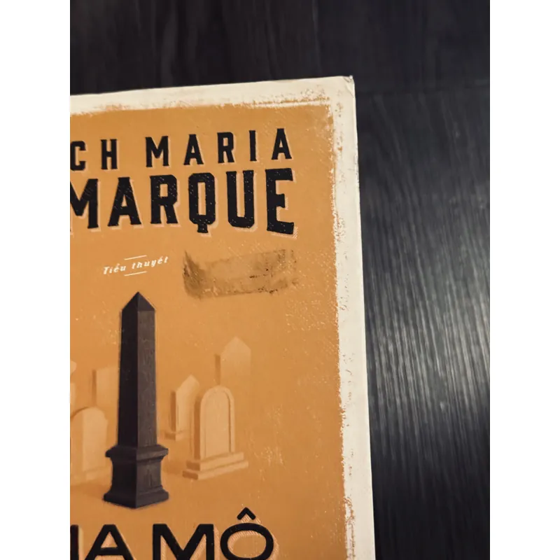 Combo 2 cuốn E.M.Remarque 597837