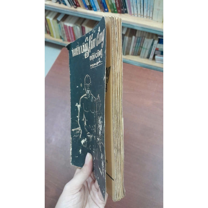 THIẾU LÂM KIM CANG NỘI CÔNG - NAM ANH 463065