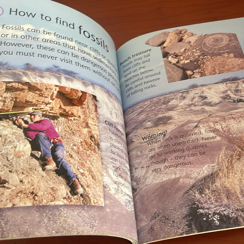 PICTURE BOOK Rocks and fossils 536674