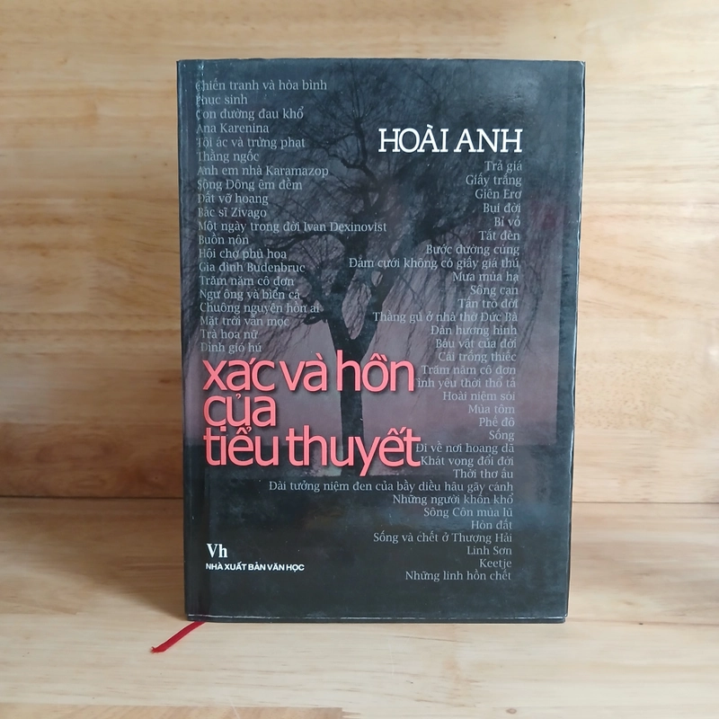 Xác Và Hồn Của Tiểu Thuyết - Hoài Anh 191631