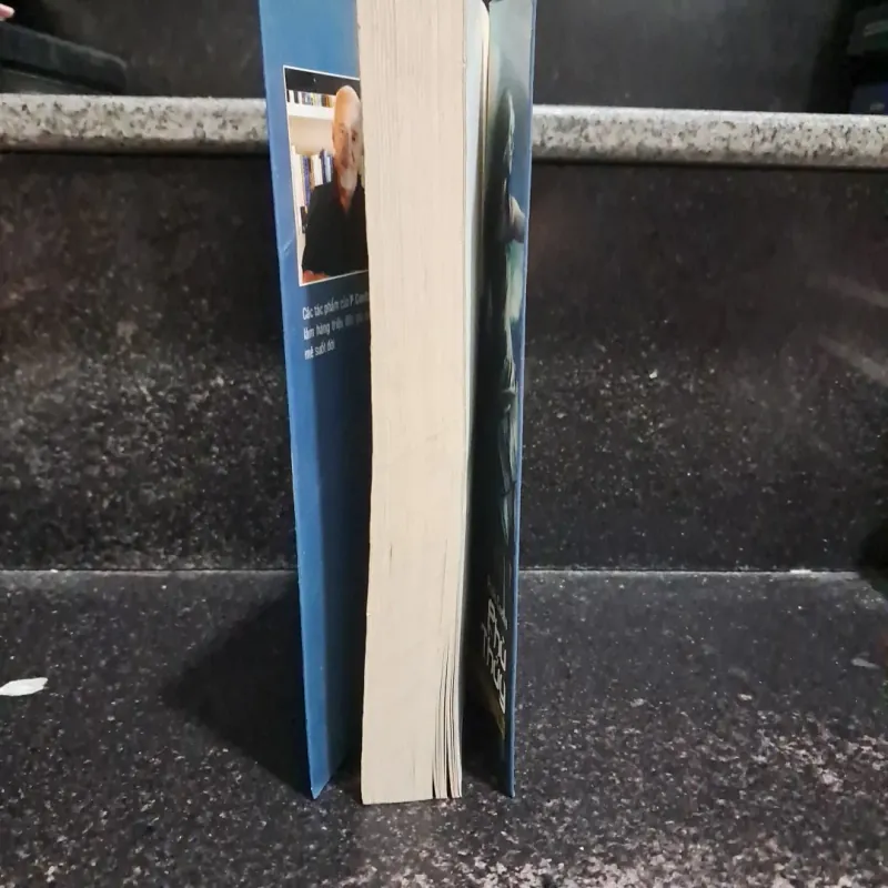 Phù thủy phố Portobeello 1006059