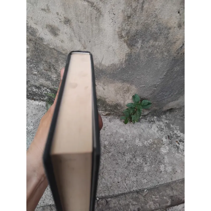 Chủ nghĩa Marx và triết học ngôn ngữ của Voloshinov 1003427