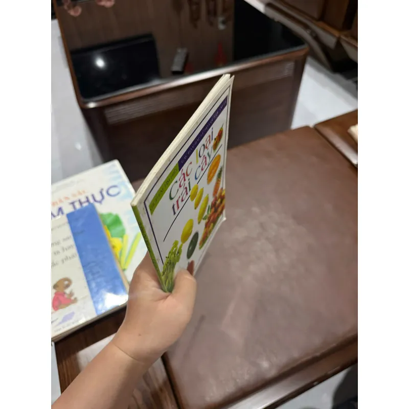 “Các loại trái cây” - K3 1005857