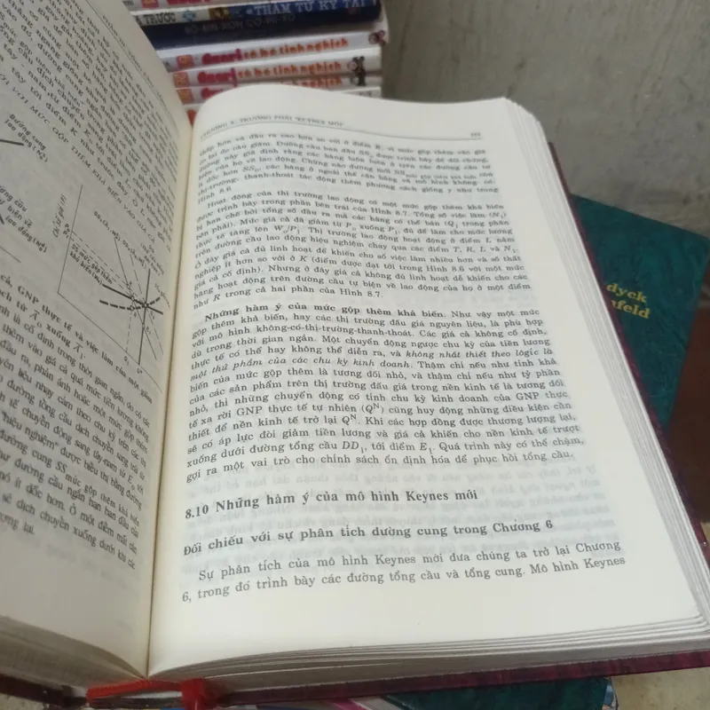 Kinh Tế Học Vi Mô+ Kinh Tế Học Vĩ Mô 696642